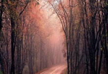 亿万28官网：罗体：尤文与加蒂的续约事宜已搁置，他们想先专注于赛场表现.