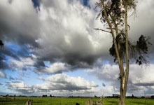 亿万28官网：英超积分榜：曼城先赛升至第5,多赛2场距榜首利物浦11分.