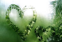 亿万28官网：[德甲]第10轮：波鸿VS勒沃库森.