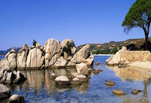 亿万28官网：[国际足球]勒沃库森晋级德国足协杯四强.